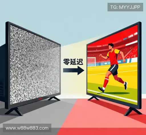 我们的专业团队